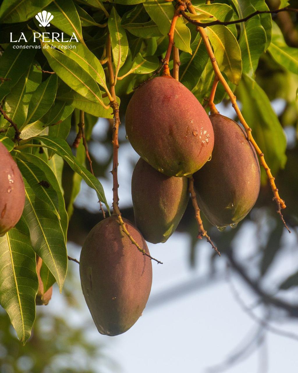 Frutas naturales