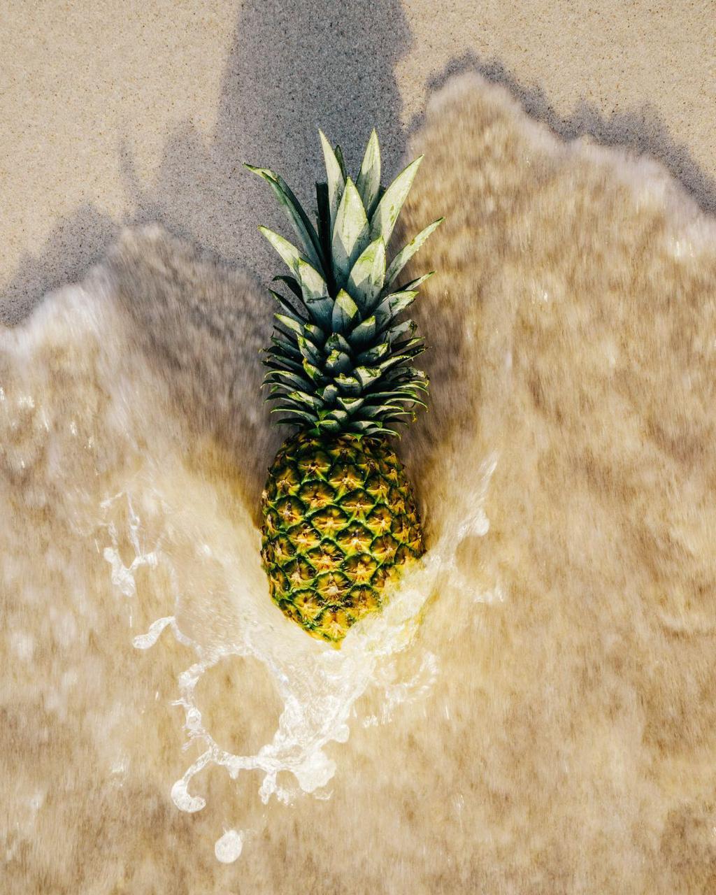 Frutas Deshidratadas Conservas de la Región